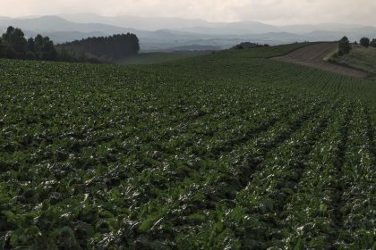 oh69_ichimennihirogaruhatake_tp_v